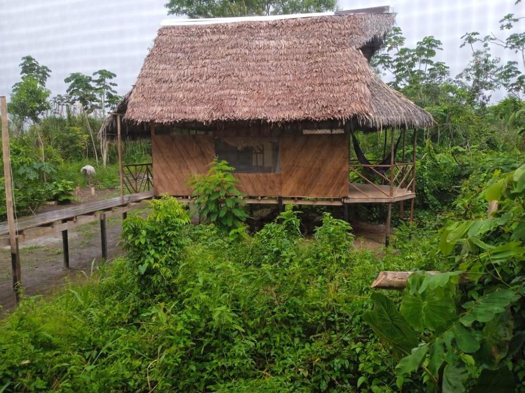 Camungo Lodge In Indigenous Community All Inclusive Nauta Dış mekan fotoğraf